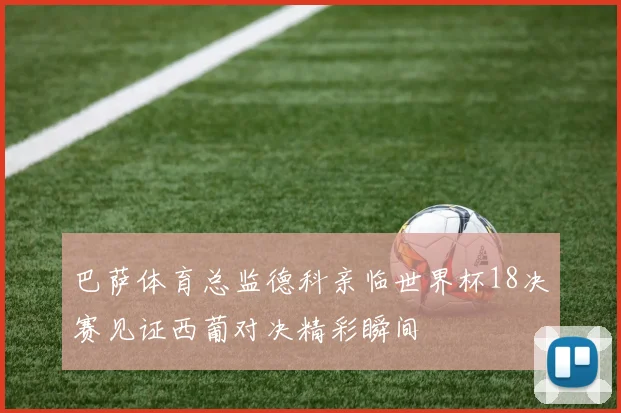 巴萨体育总监德科亲临世界杯18决赛见证西葡对决精彩瞬间