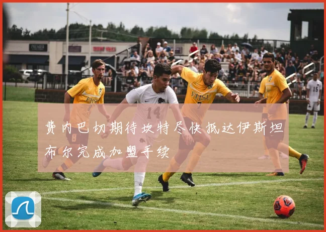 费内巴切期待坎特尽快抵达伊斯坦布尔完成加盟手续